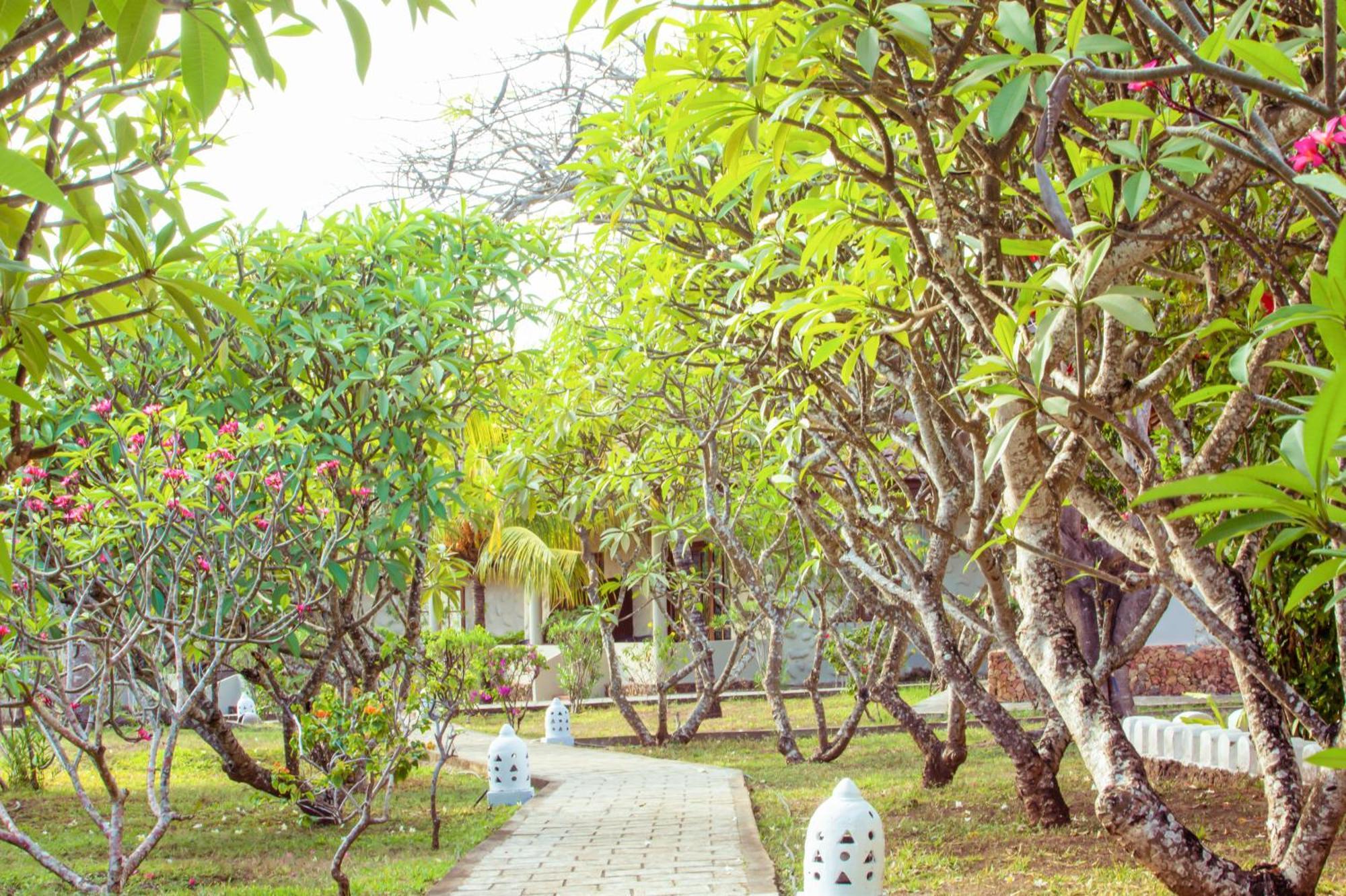 Mandarin Resort Zanzibar Kizimkazi Exteriör bild