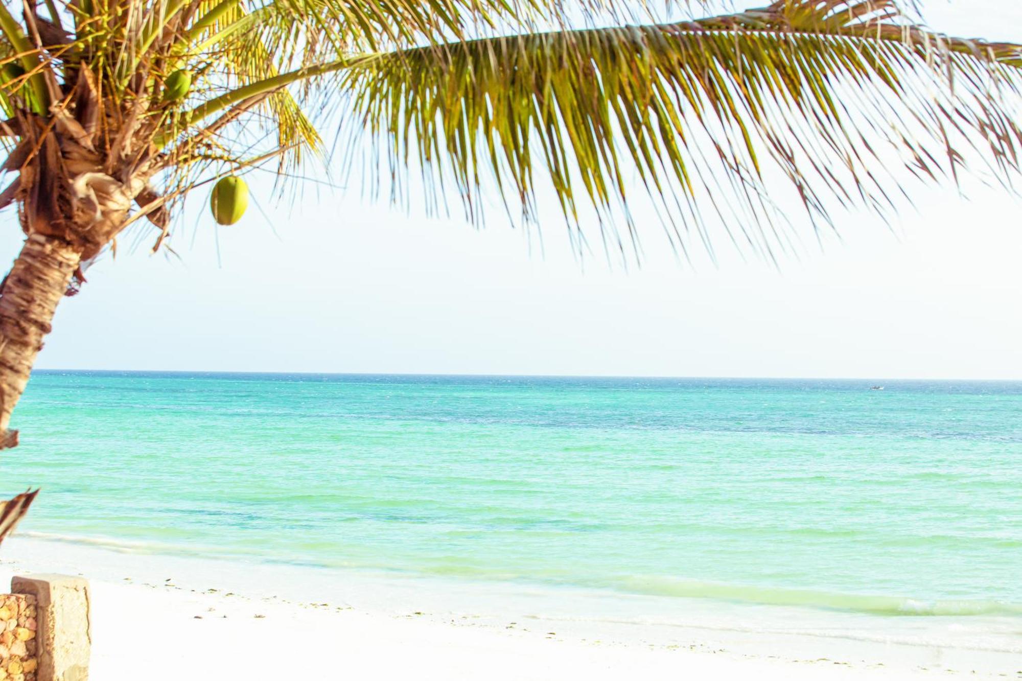 Mandarin Resort Zanzibar Kizimkazi Exteriör bild